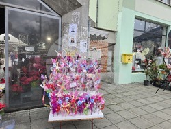 Сливен - Коледа - цени