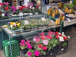 Сливен - Коледа - цени