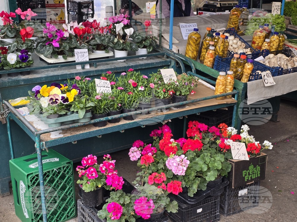 Сливен - Коледа - цени