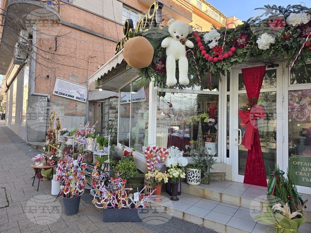 Сливен - Коледа - цени