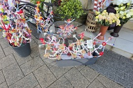 Сливен - Коледа - цени