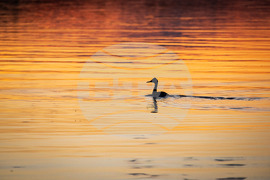 Бургас - привечер над Мандренско езеро