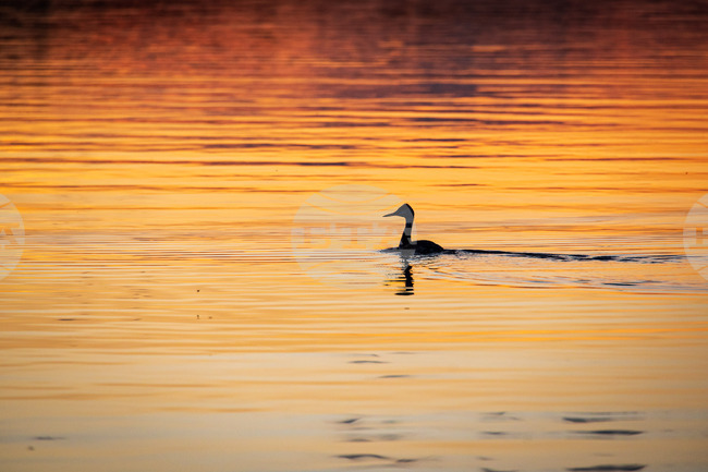Прогноза за времето