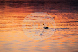 Бургас - привечер над Мандренско езеро