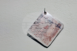 Яра Бубнова - изложба - лев