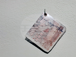 Яра Бубнова - изложба - лев