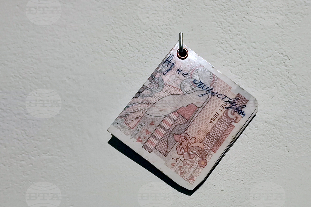 Яра Бубнова - изложба - лев