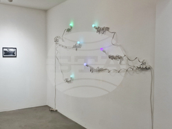 Яра Бубнова - изложба - лев