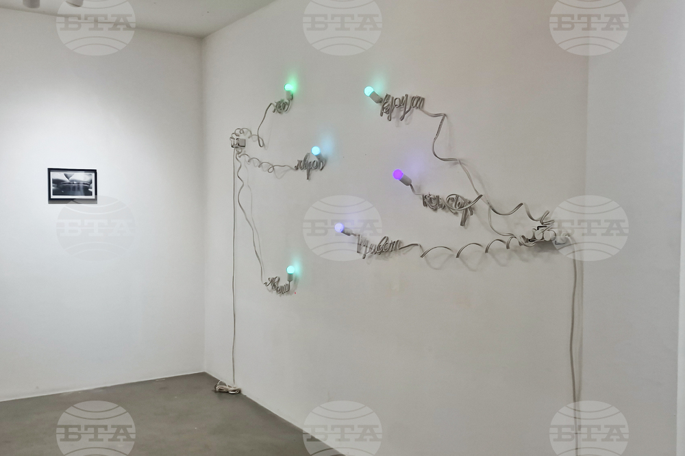 Яра Бубнова - изложба - лев