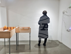 Яра Бубнова - изложба - лев