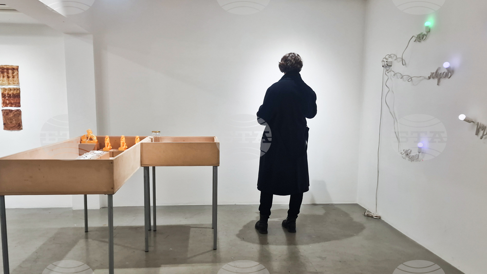 Яра Бубнова - изложба - лев