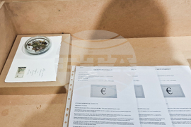 Яра Бубнова - изложба - лев