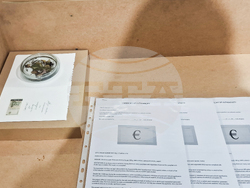 Яра Бубнова - изложба - лев