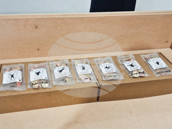 Яра Бубнова - изложба - лев