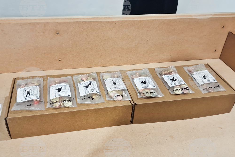 Яра Бубнова - изложба - лев