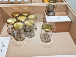 Яра Бубнова - изложба - лев