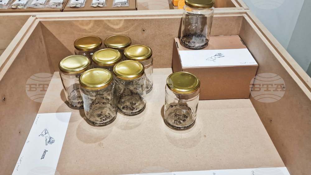 Яра Бубнова - изложба - лев