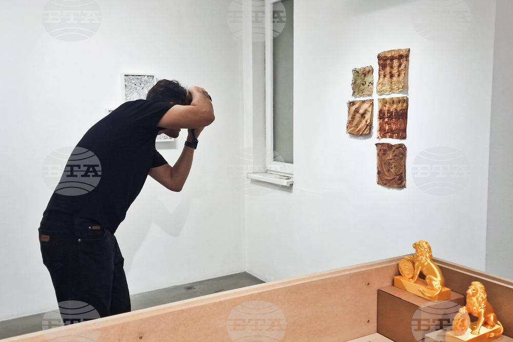 Яра Бубнова - изложба - лев