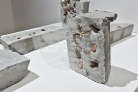 Яра Бубнова - изложба - лев