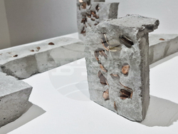 Яра Бубнова - изложба - лев