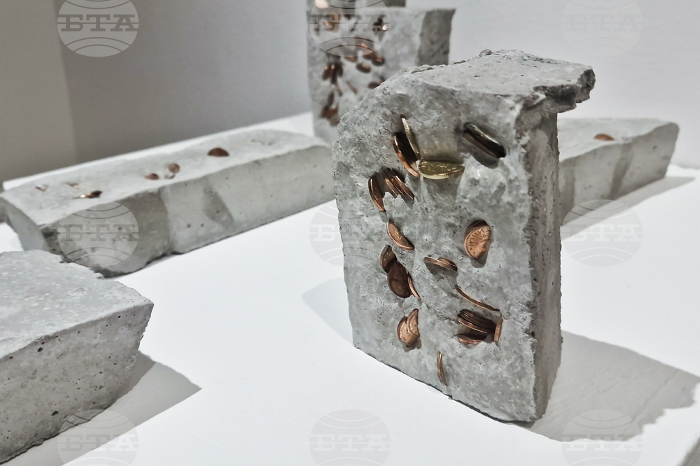 Яра Бубнова - изложба - лев