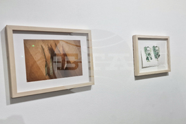 Яра Бубнова - изложба - лев