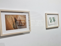 Яра Бубнова - изложба - лев