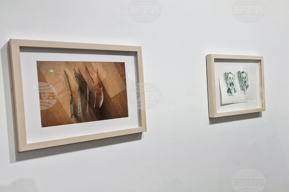 Яра Бубнова - изложба - лев