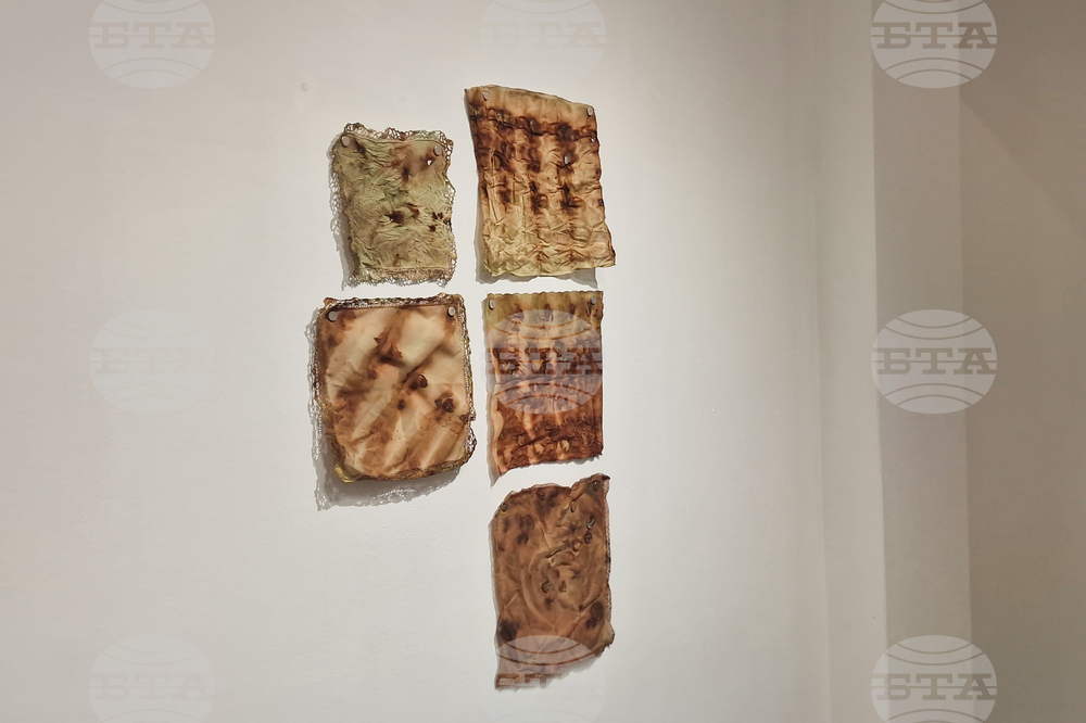 Яра Бубнова - изложба - лев