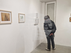 Яра Бубнова - изложба - лев