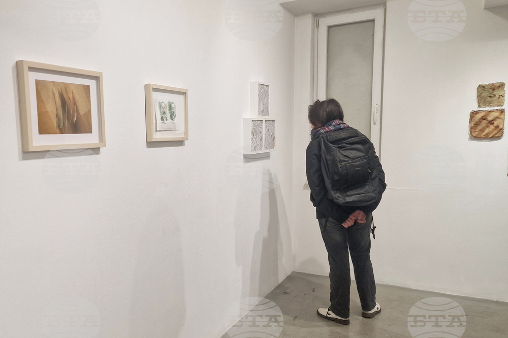 Яра Бубнова - изложба - лев