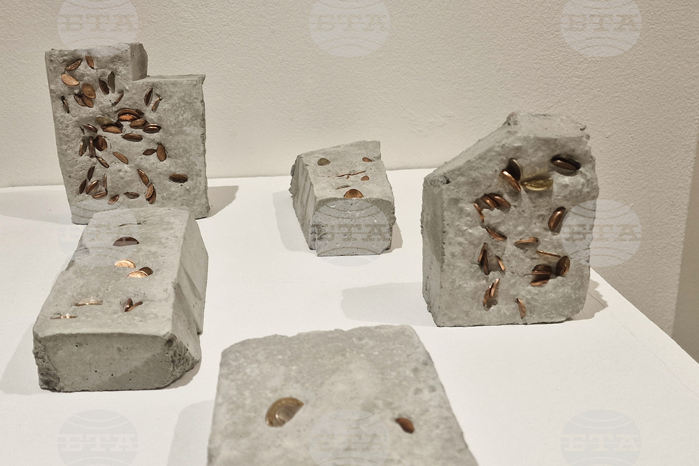 Яра Бубнова - изложба - лев