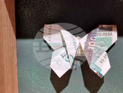 Яра Бубнова - изложба - лев