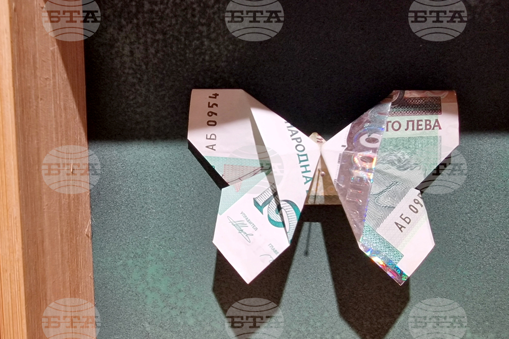 Яра Бубнова - изложба - лев