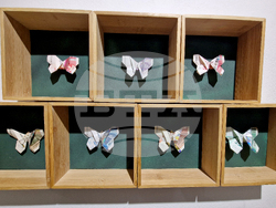 Яра Бубнова - изложба - лев