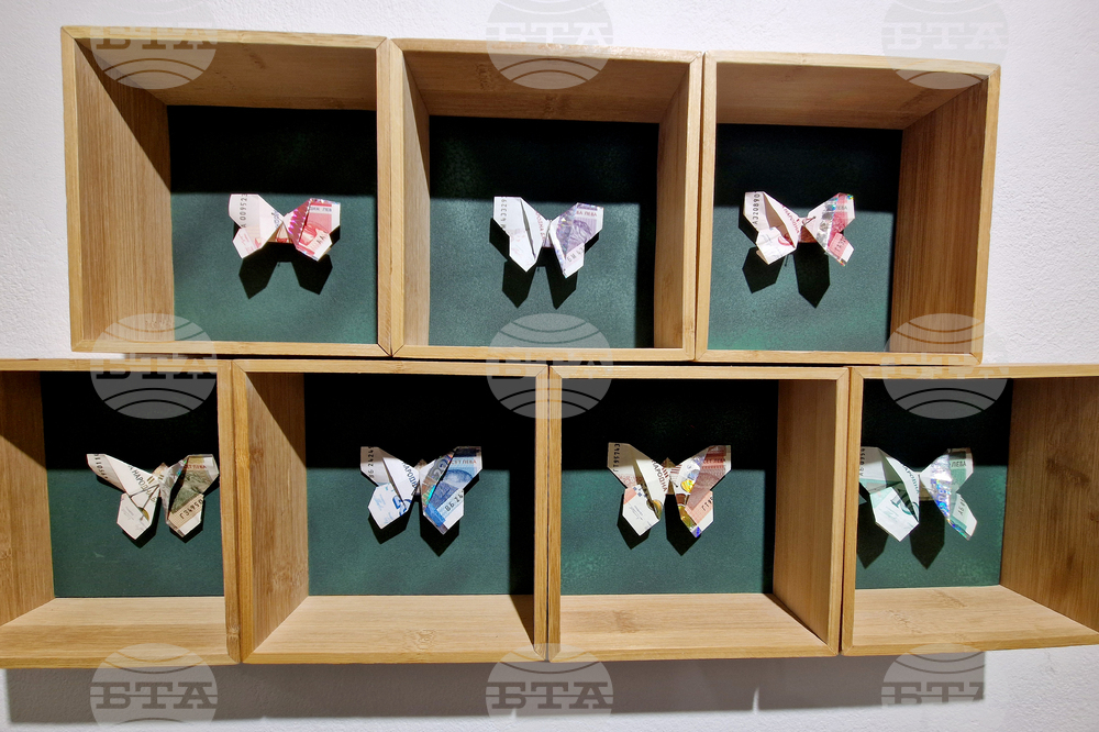 Яра Бубнова - изложба - лев