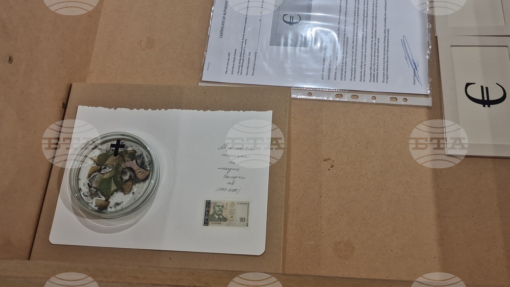 Яра Бубнова - изложба - лев