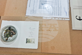 Яра Бубнова - изложба - лев