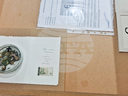 Яра Бубнова - изложба - лев