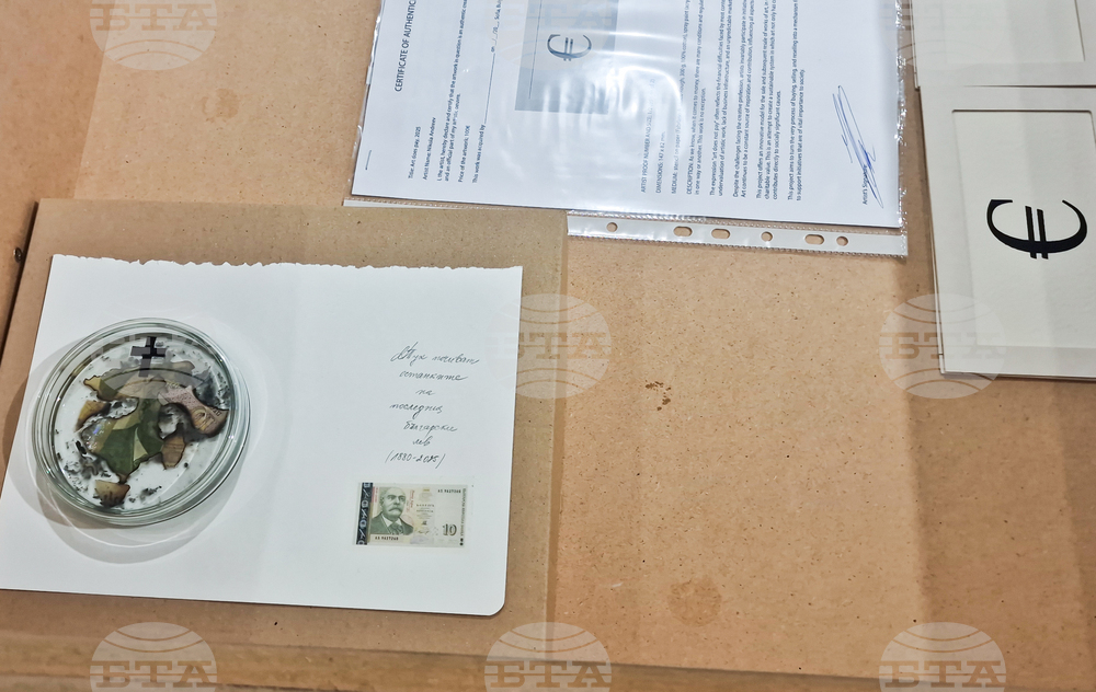 Яра Бубнова - изложба - лев