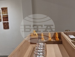 Яра Бубнова - изложба - лев