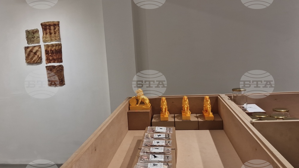 Яра Бубнова - изложба - лев