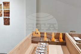 Яра Бубнова - изложба - лев