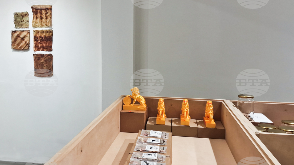 Яра Бубнова - изложба - лев