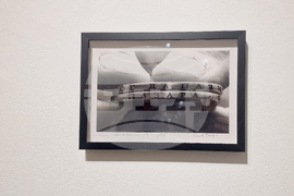 Яра Бубнова - изложба - лев