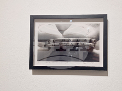 Яра Бубнова - изложба - лев