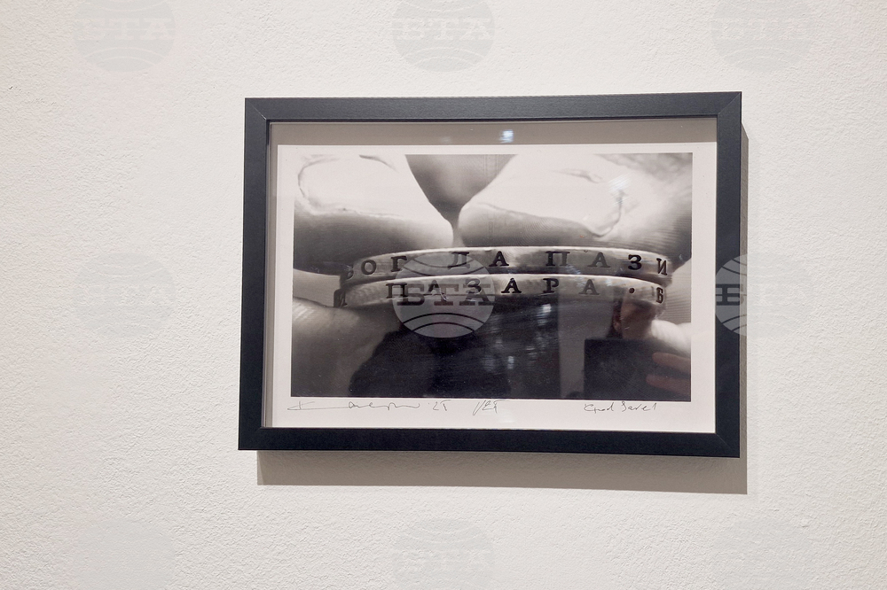 Яра Бубнова - изложба - лев