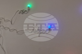 Яра Бубнова - изложба - лев