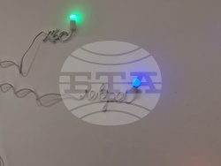 Яра Бубнова - изложба - лев