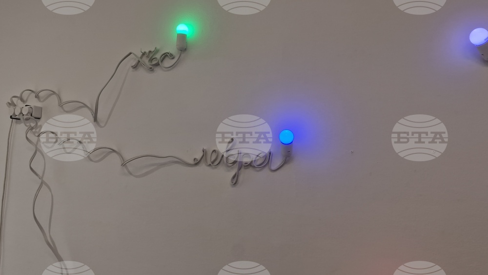 Яра Бубнова - изложба - лев